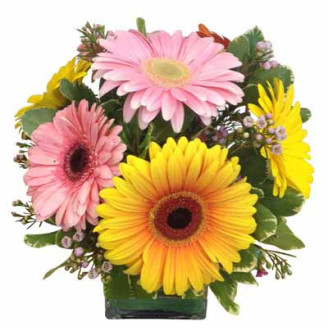 Gerbera Daisy Bouquet